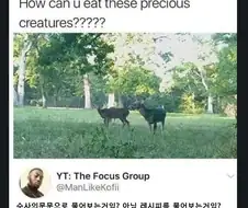 어떻게 이렇게 귀중한 생명을 먹을 수 있죠?????
