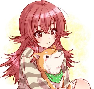 @) 건전한 카호짤