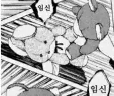임신을 시키다