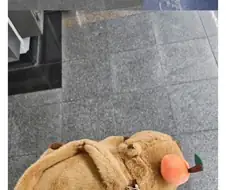 대가리는 장식이야?