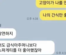 "고양이가 나를 안 좋아해ㅠㅠ"