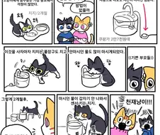 고양이 물마시는 만화