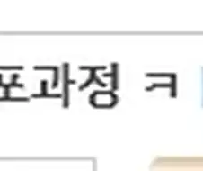 일본 경찰 지방분권 특징.jpg