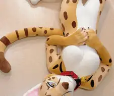 이런 퍼슈트 먼가 맘에 들어