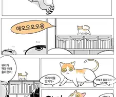 자기가 라이온 킹인줄 아는 고양이.manhwa