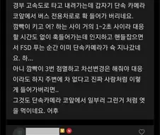 FSD 추가비용