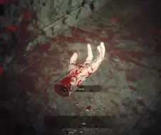 (약혐) 제작진중 키라요시카게가 있는게 틀림없음