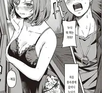 한국 정발하면서 검열당한 동인지