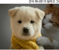 내성적인 애들 특징