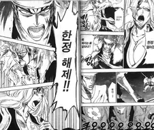 블리치) 잇카쿠 이 때 한정영인 안한 거 작가 공식이네ㅋㅋㅋㅋㅋ