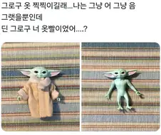 그로구의 정체