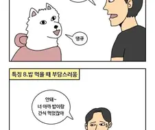 강아지 키우는 사람 특징
