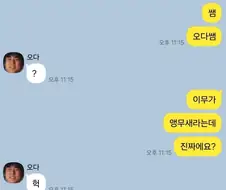 오피셜) 원피스의 이무 = 앵무새