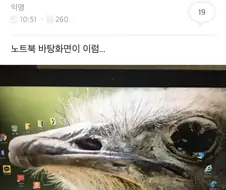 우리오빠 진짜 ㅂㅅ같다...