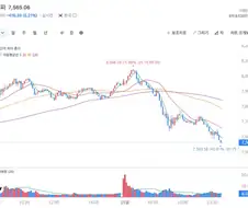 5월15일 주식 대폭락의 날..