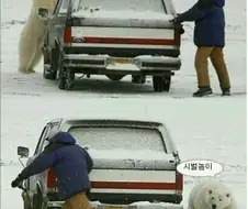 콜라를 원하는 북극곰