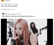 한국인아 번역 이거 진짜 맞니?.jpg