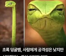 "걱정마세요, 안 물어요"
