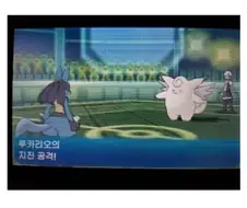 200승을 넘긴 사람의 포켓몬 실전 배틀