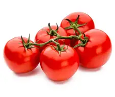 분란을 일으켜 죄송합니다.