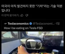 테슬라 타고 한식 즐기는 미국인을 본 유럽인.jpg