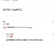 나 친구 강아지 한달 맡아줬다가 이주만에 8kg빠짐...