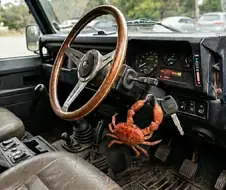 진짜 이때다 싶어 시동거는게 ㅋㅋㅋㅋ