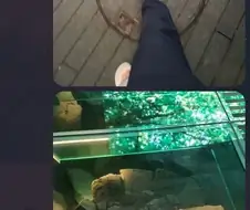 엄마 말 안듣는 청개구리 아들.JPG