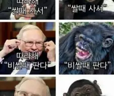 자 따라해봐 쌀 때 사서