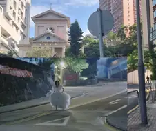 예전에 홍콩갔을때 유일하게 건진사진