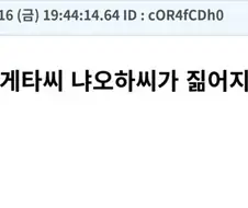 포켓몬)그럼 피카츄의 후임은 누구야?