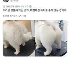 돈 주고 미용실 다니는 이유