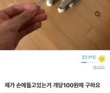 이름이 뭔지도 모르는거 산다는 사람