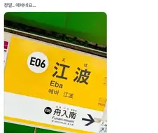 진짜 에바인 일본역