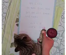 문맹이 당하는 서러움
