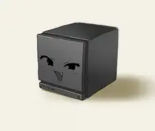스팀가키