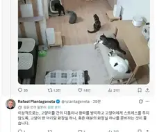 화장실이 붐빈다.jpg