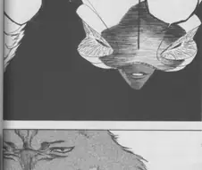 블리치)처음으로 눈을 뜬 토센