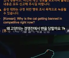 나사빠진 북미 오버워치 유저들