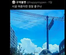 의외로 고양이가 아니라고 주장하는 사진