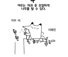 여우에 관한 쓸모없는 10가지 사실.manwha