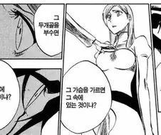 블리치) 오리히메 가슴 만지고 싶어서 구라친 새끼
