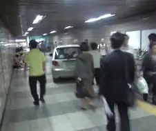 진짜 Ai가 아닌 사진.jpg