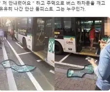 안산 둠피스트