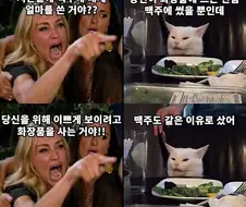 왜 맥주를 화장품만큼 샀어!