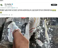 매우 잔혹무도한 악당 "미시마 카즈야" 그의 의외의 면
