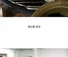 미국 바이크 팀의 한국 관광.jpg