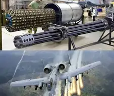 맷돼지가 커다란 잡지를 보면?.jpg