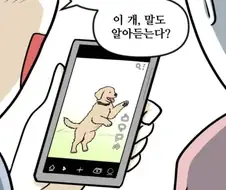 고양이만 키우다 강아지 만나본 뽈쟁이
