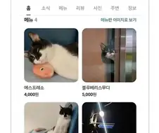 사심이 너무 심한 부산 카페